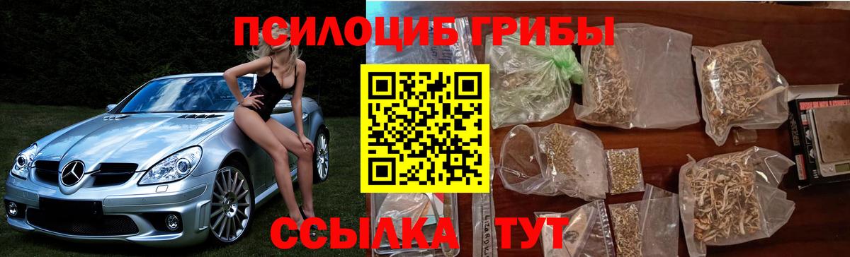 купить наркоту  Псилоцибиновые грибы Cubensis  Вход с VPN  Нягань 